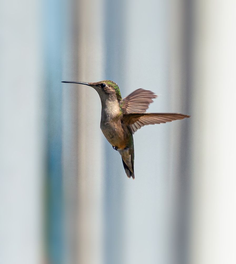 Photograph by Alex Korchanov