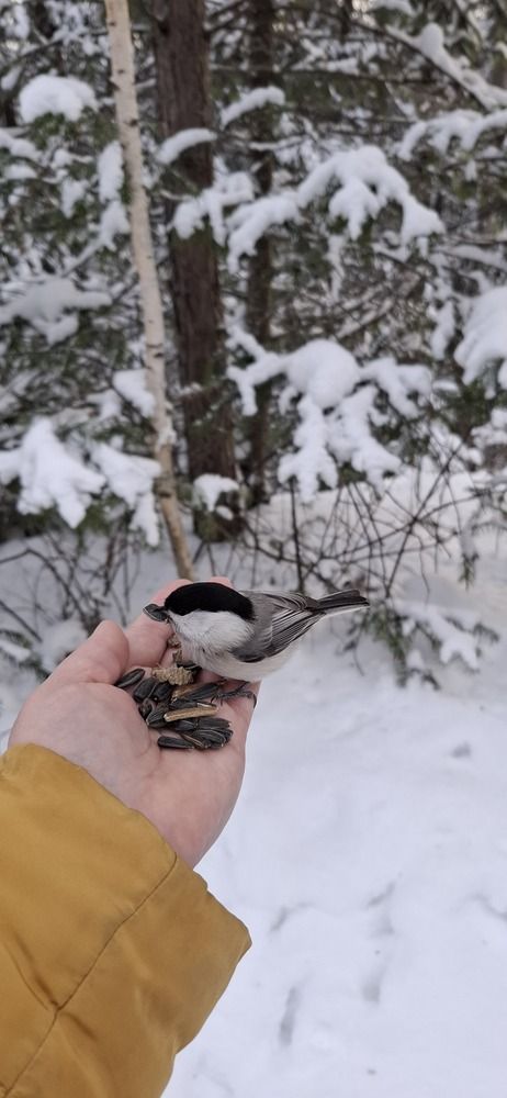 Photograph by Наталья Пирогова