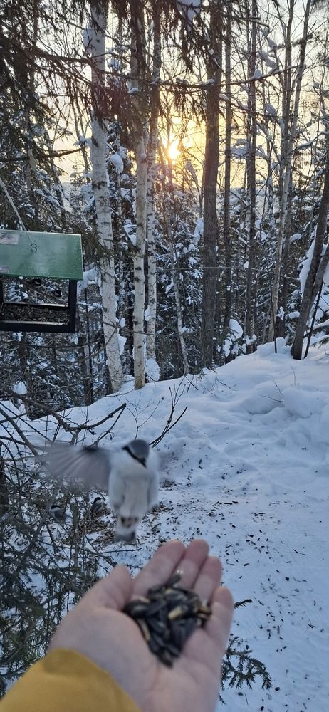 Photograph by Наталья Пирогова