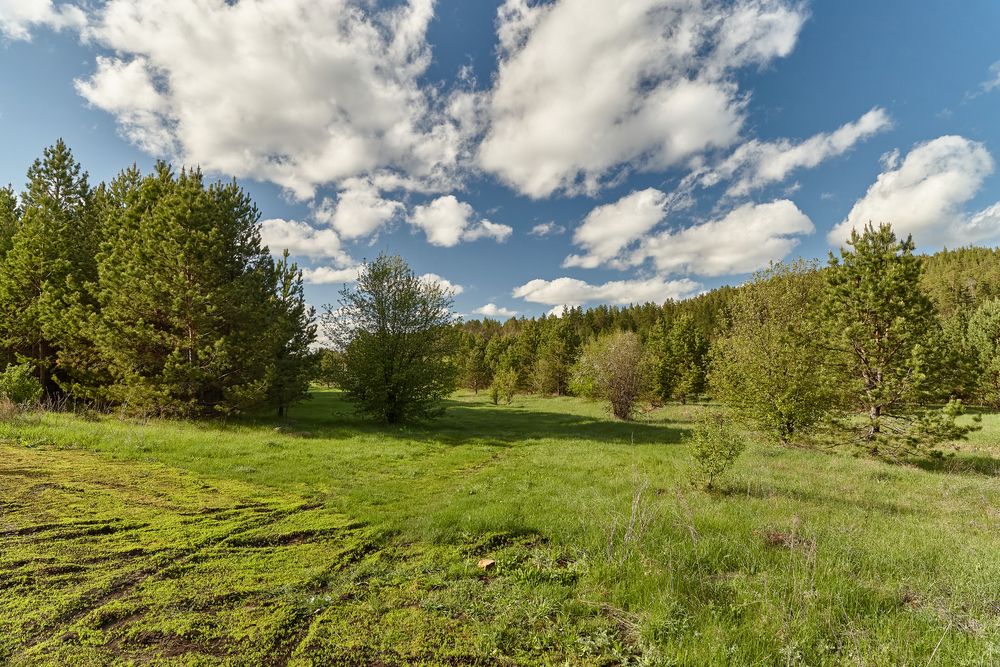 Фотография автора Александр Еремин