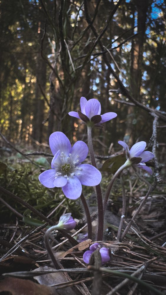 Photograph by Ирина Антипова