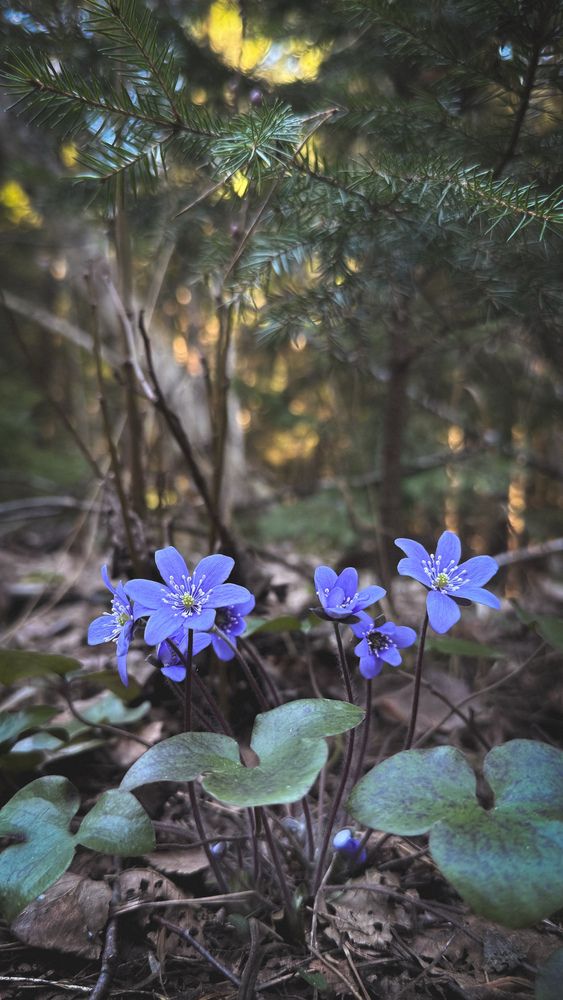 Photograph by Ирина Антипова