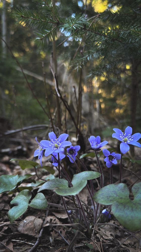 Photograph by Ирина Антипова