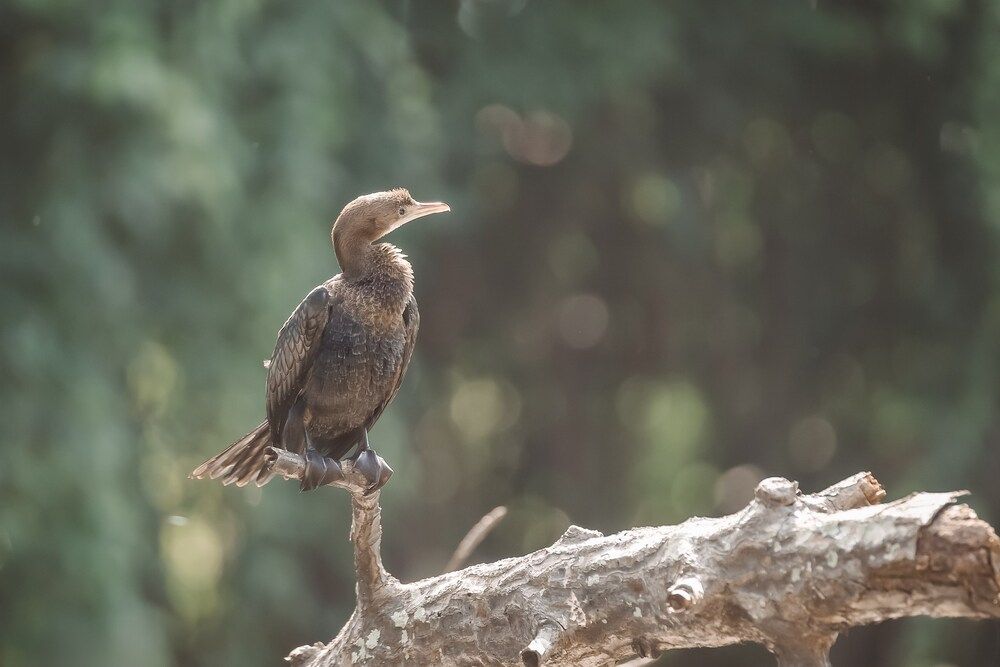 Photograph by Марина Суздаль