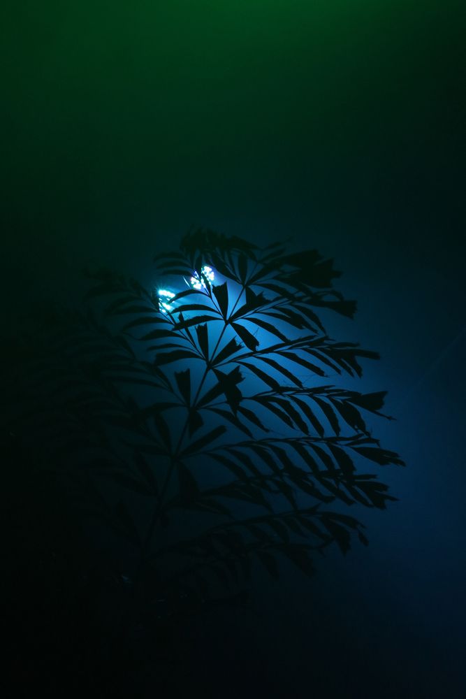 Photograph by Татьяна