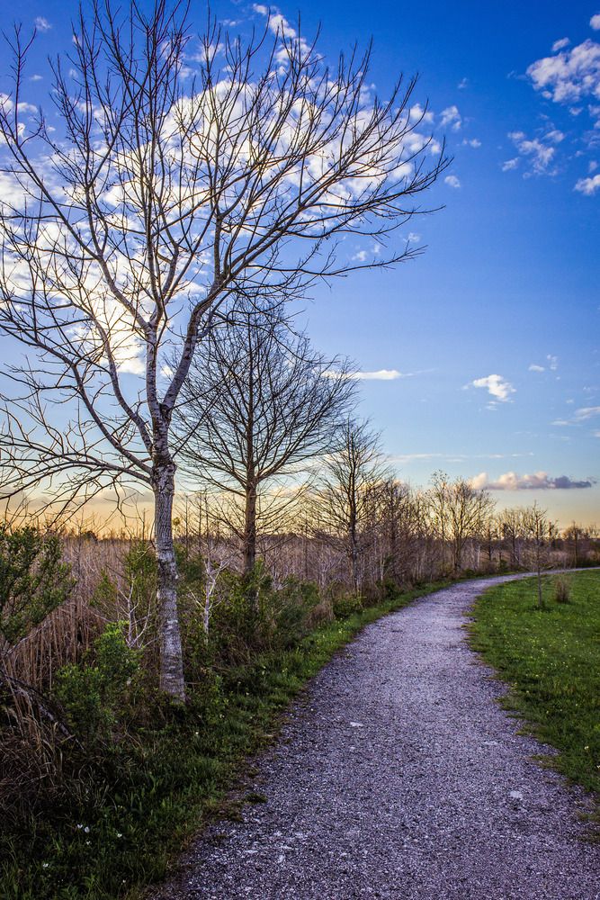 Фотография автора Анатолий Костерев