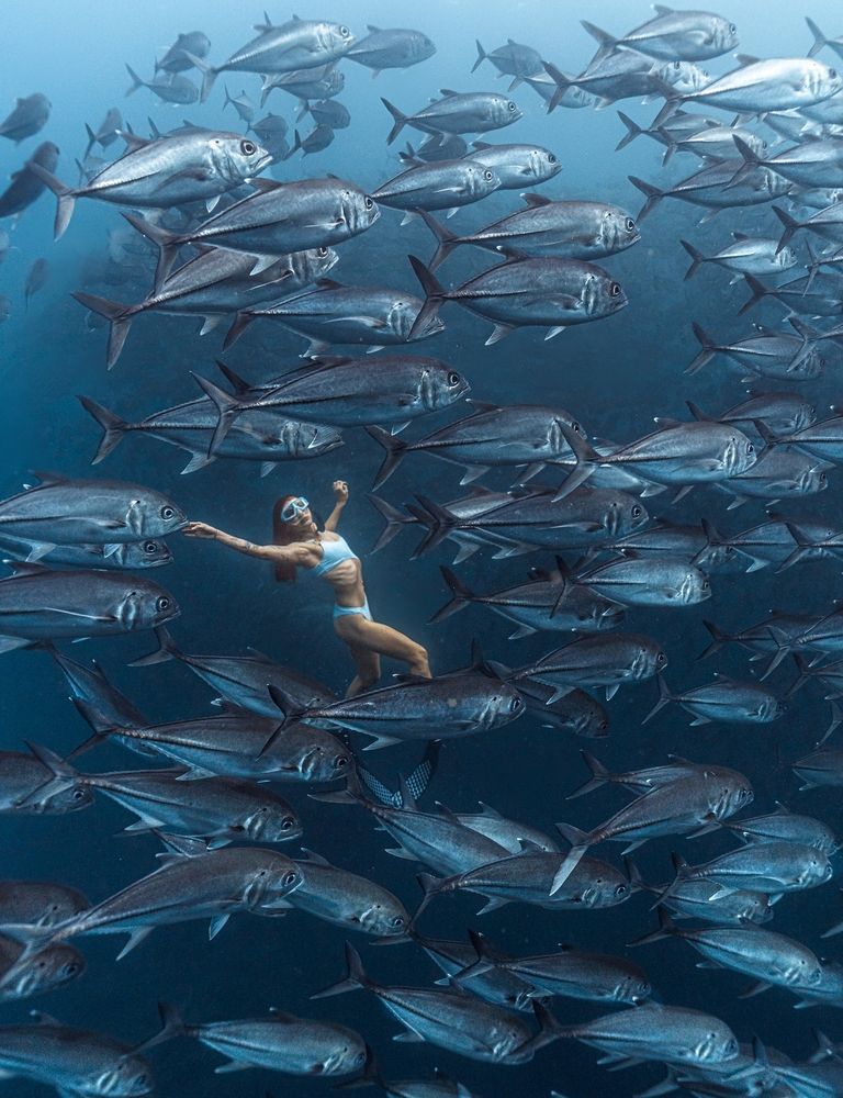 Girl in the Silver Storm