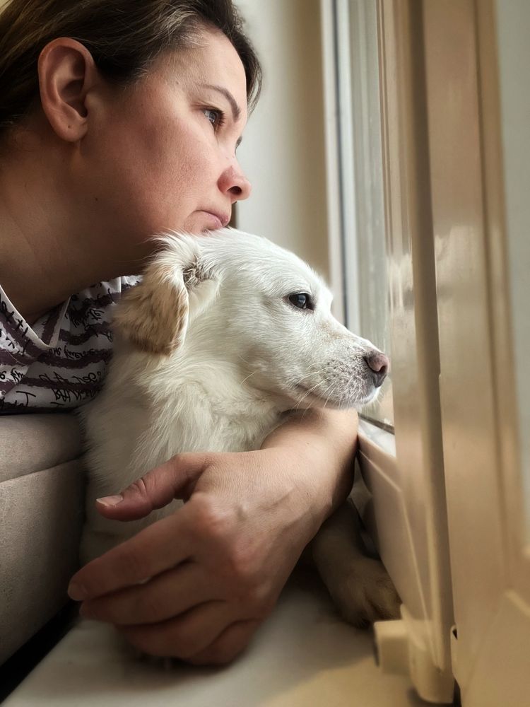 Лучший друг