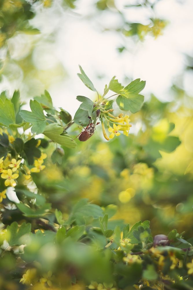 Photograph by Елена Косинова