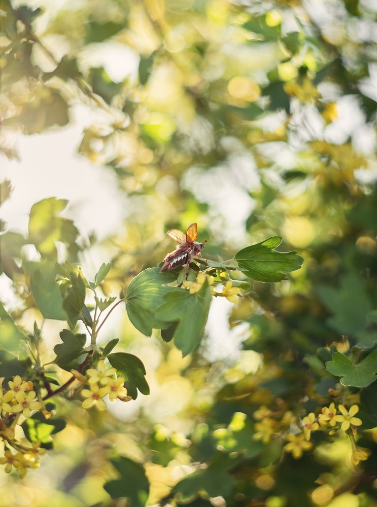 Photograph by Елена Косинова