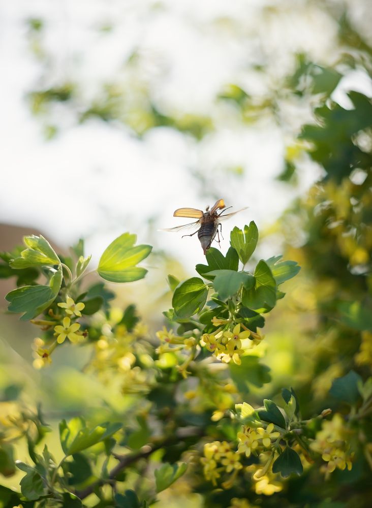 Photograph by Елена Косинова