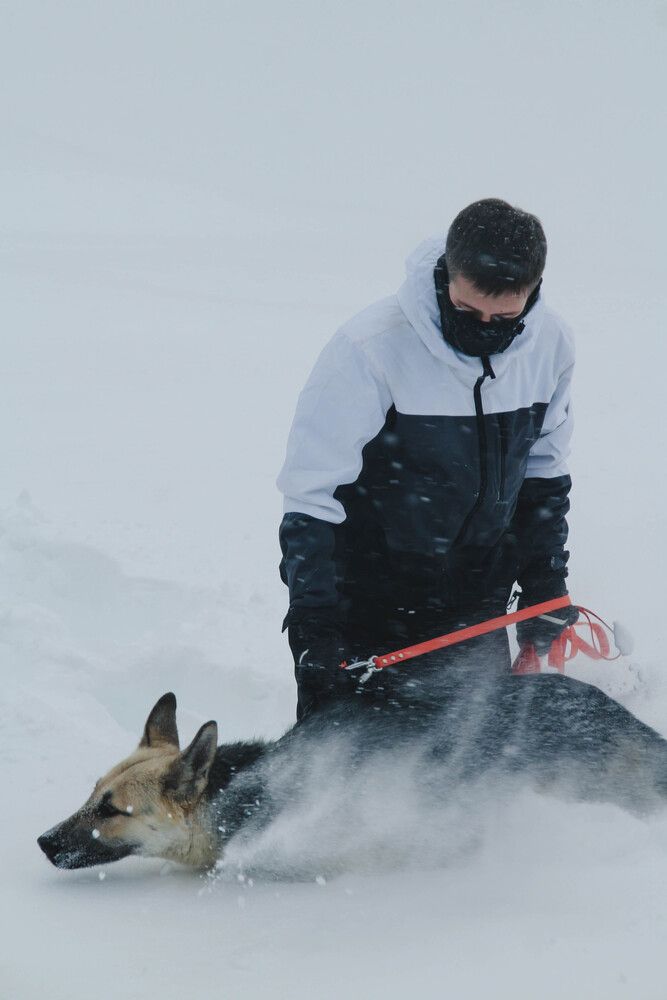 Фотография автора Наталия Козлова