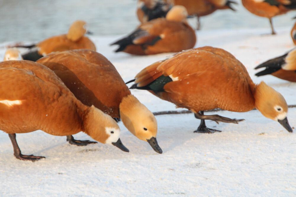 Фотография автора Наталия Козлова