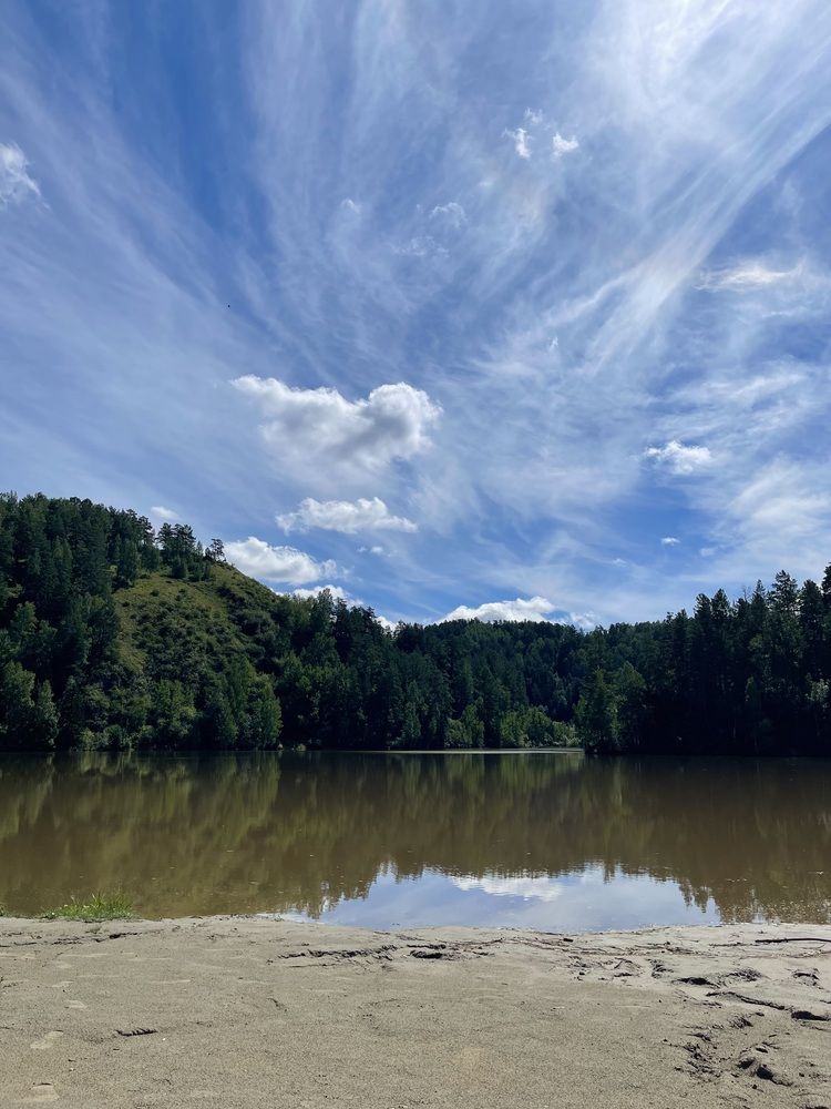 Солнечный день