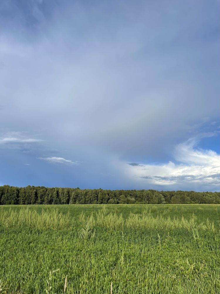 Photograph by Татьяна Лавренова