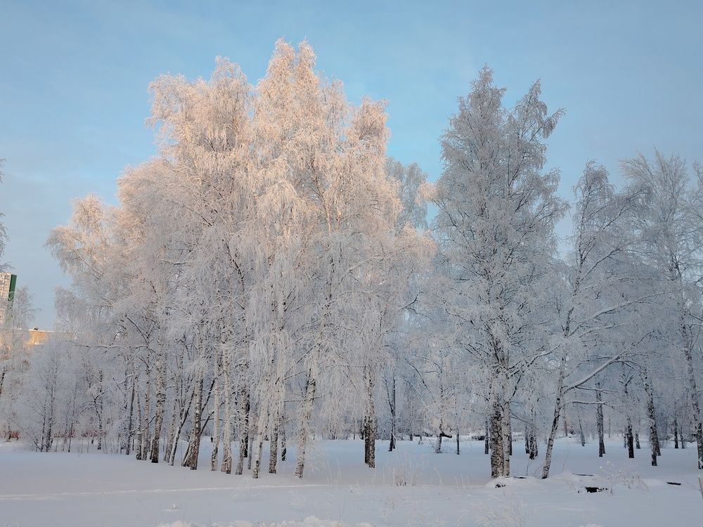 Фотография автора Виталий Са
