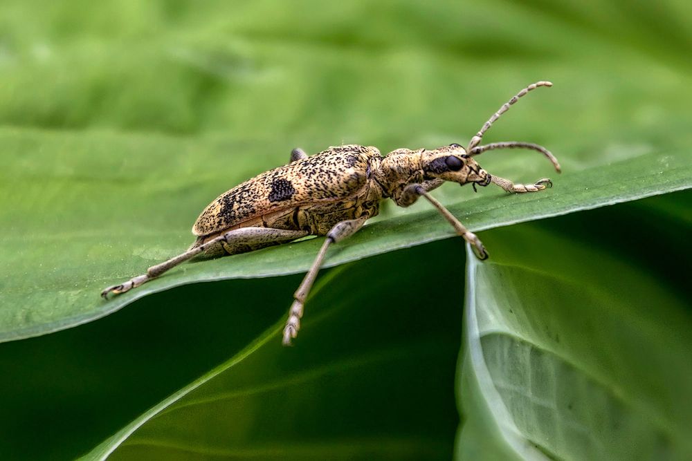 Photograph by Анатолий Чесноков