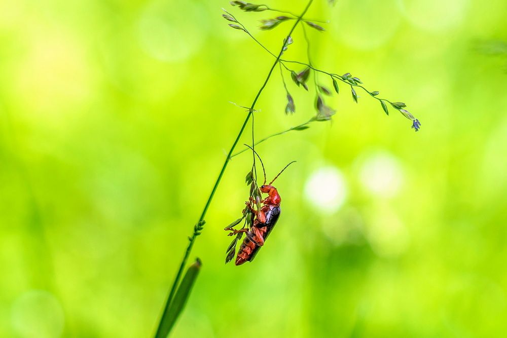 Photograph by Анатолий Чесноков