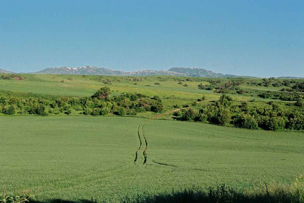 Дорога
