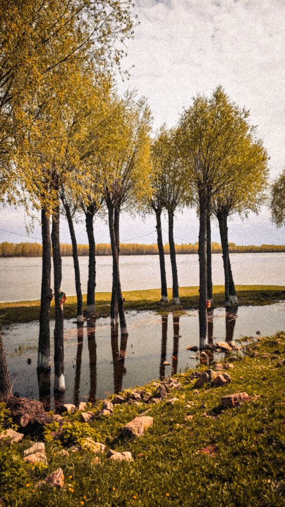 Photograph by Ирина Шестакова