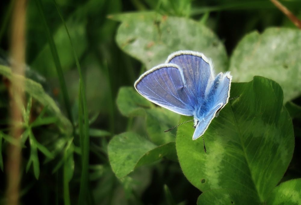 Photograph by Екатерина Солохина