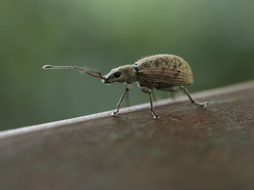 Photograph by Se Lena