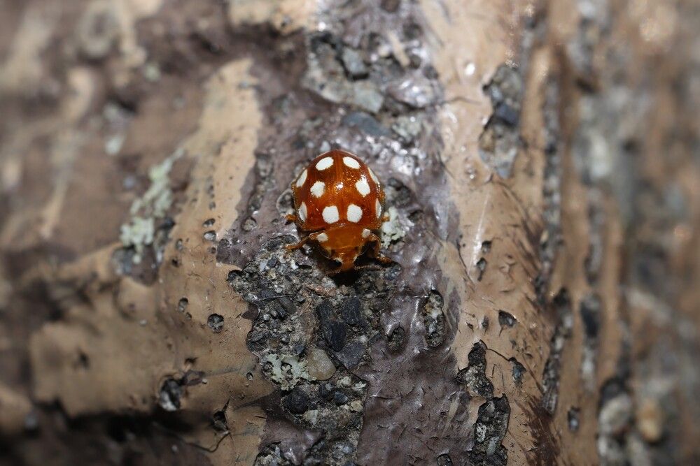 Photograph by Se Lena