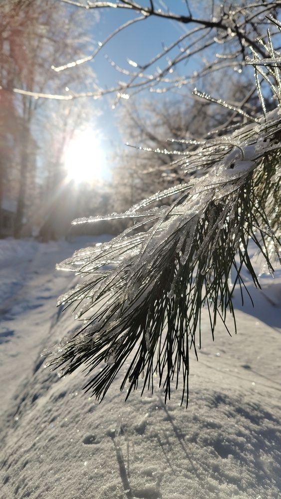 Photo #13186843