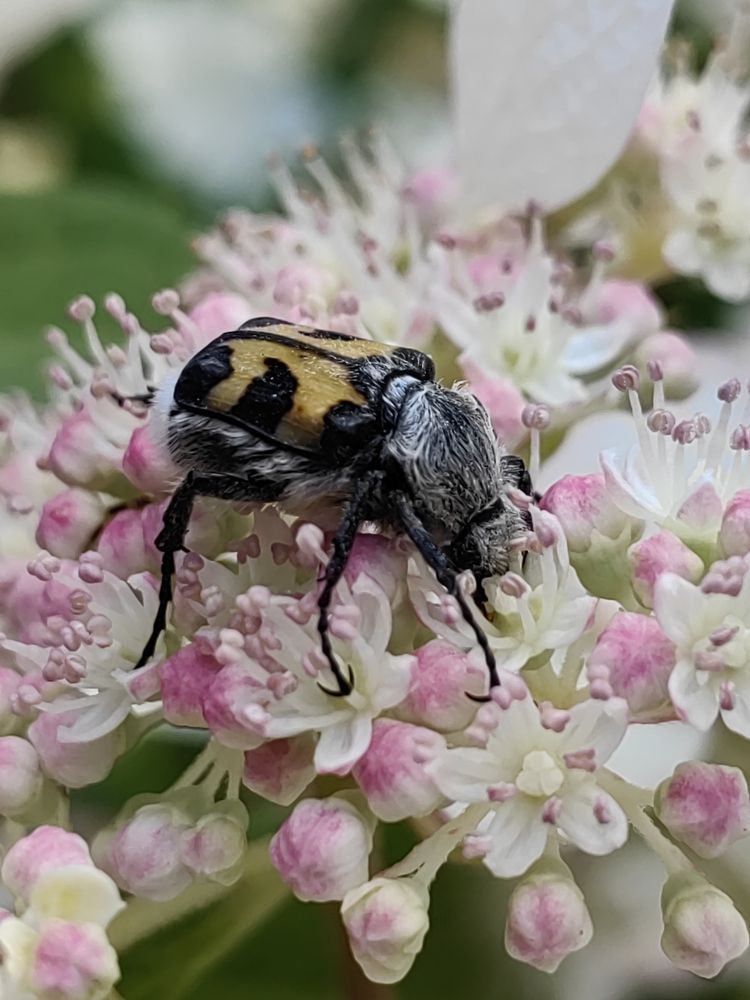 Photograph by Алёна С-К