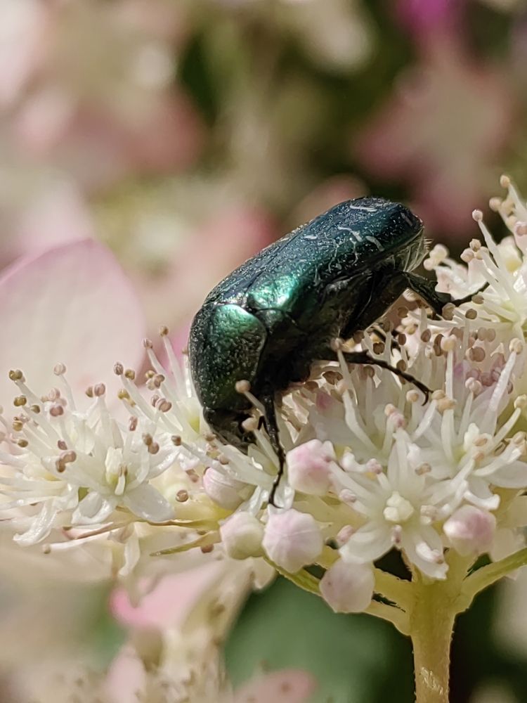 Photograph by Алёна С-К