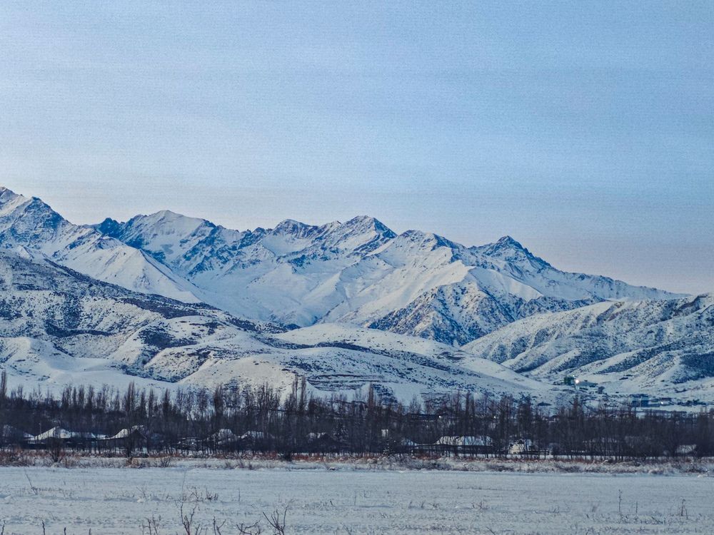 Фотография автора Анна Курлова