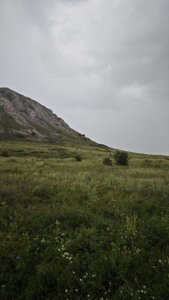 Photograph by Ирина Шестакова