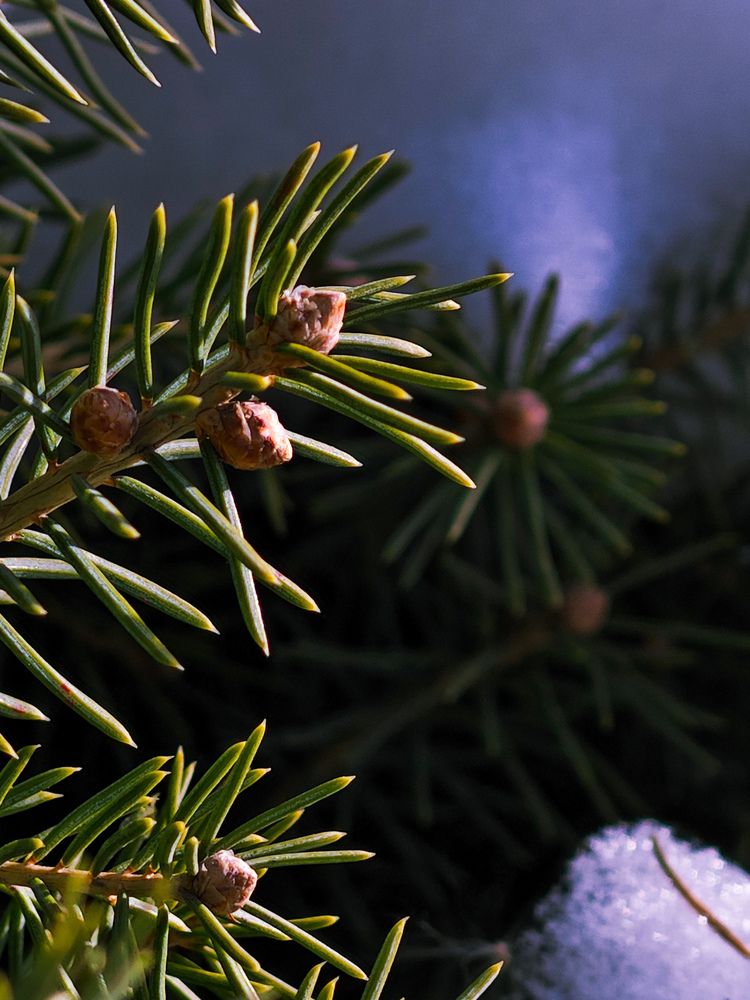 Фотография автора Анна Курлова