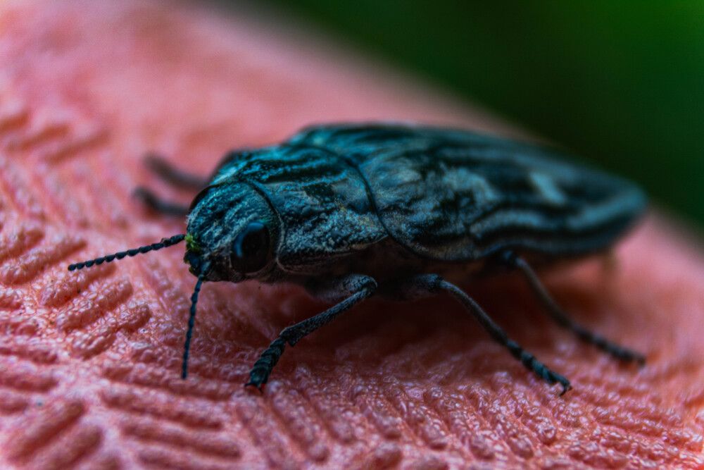 Photograph by Людмила Баймухаметова