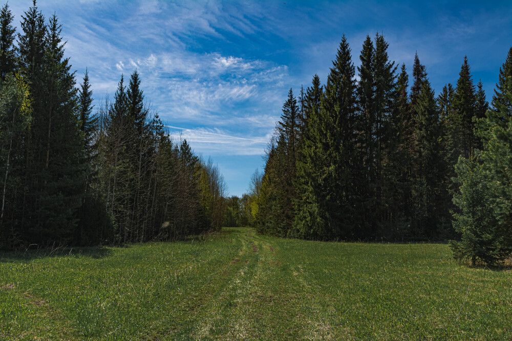 Photograph by Людмила Баймухаметова