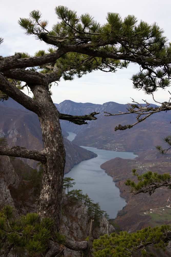Фотография автора Шилов Александр