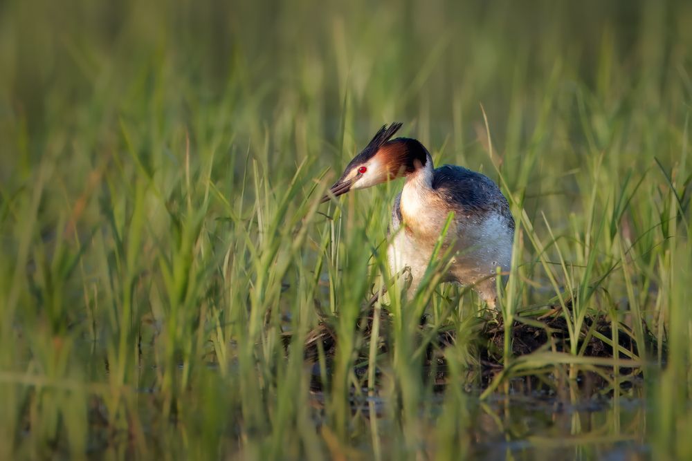 Photograph by Станислав Аристов