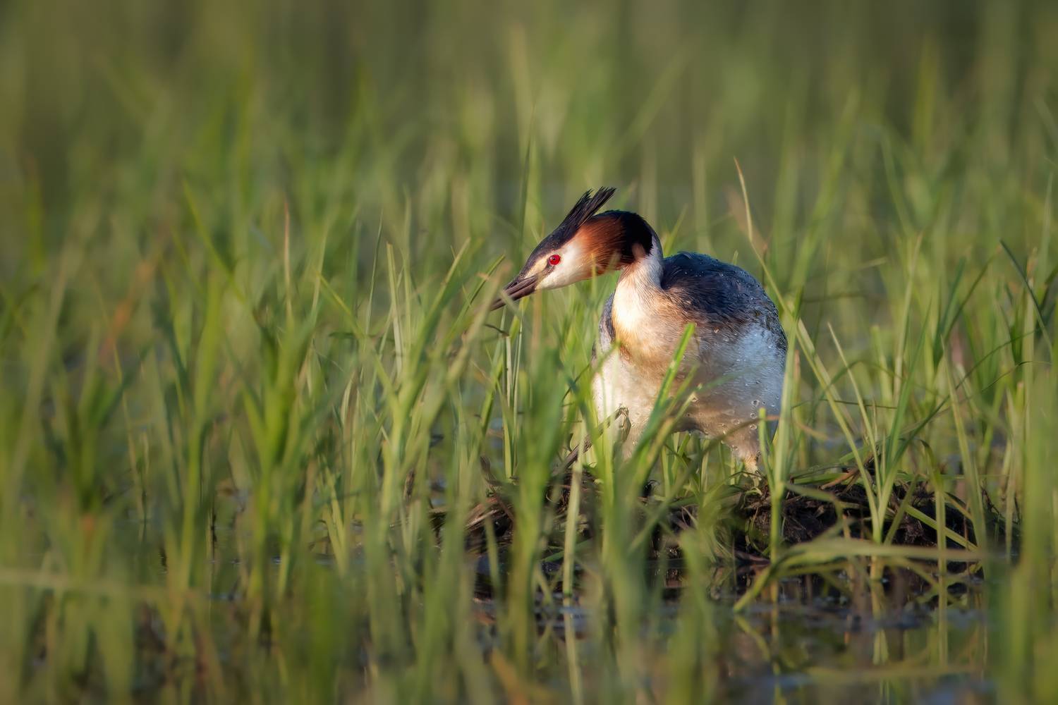 Фотография #13186956