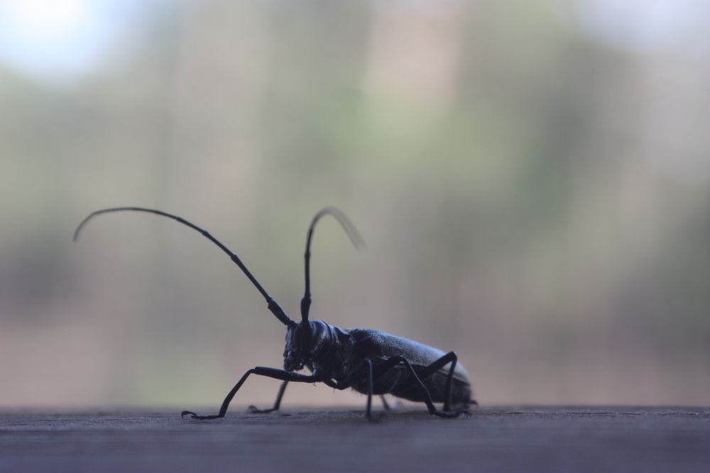 Photograph by Алексей Банных