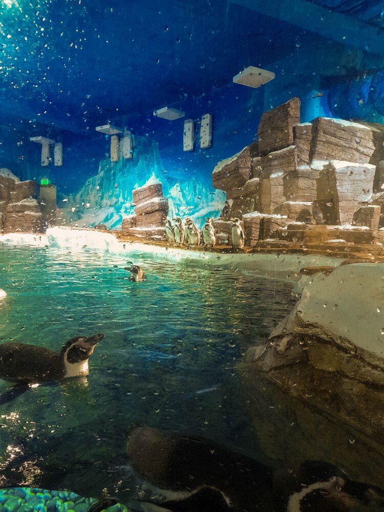 Фотография автора Любовь Малкина