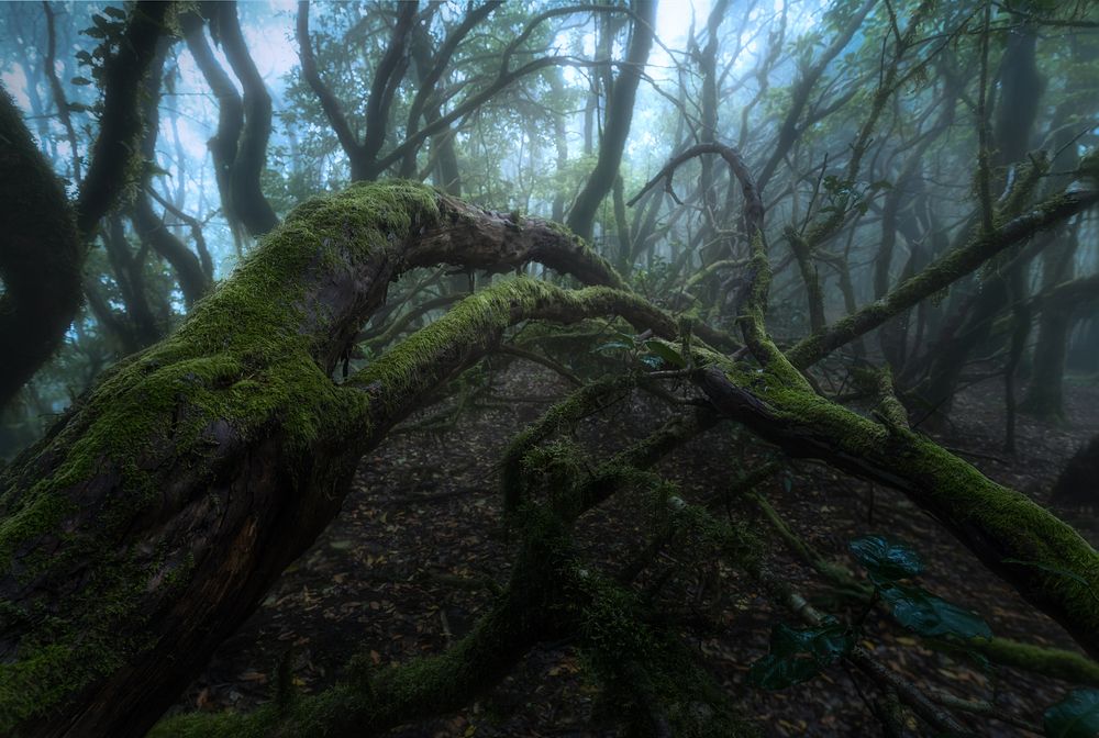 Фотография автора Sergio Bautista Moreno
