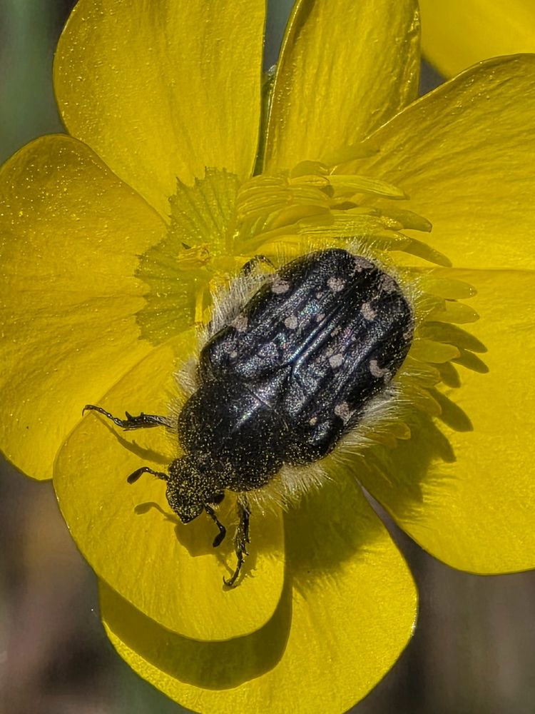 Photograph by Куделенко Оксана