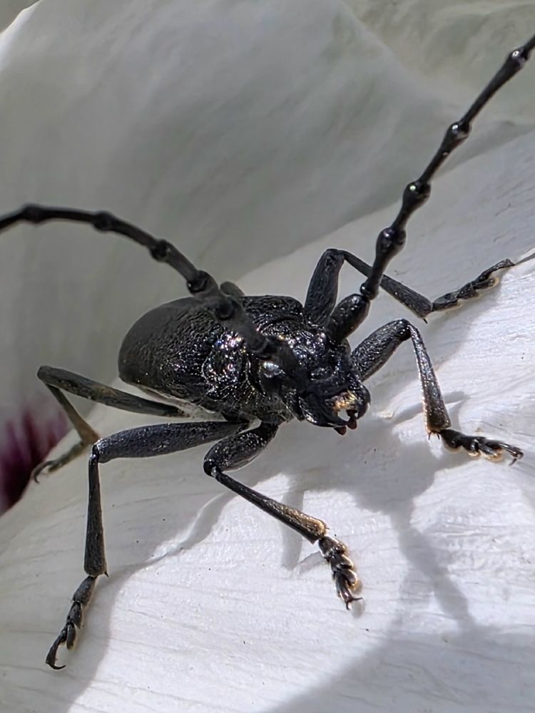 Photograph by Куделенко Оксана