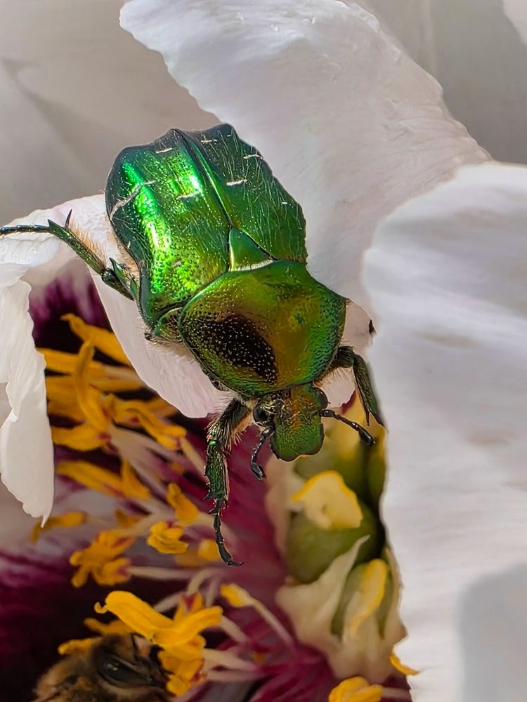 Photograph by Куделенко Оксана