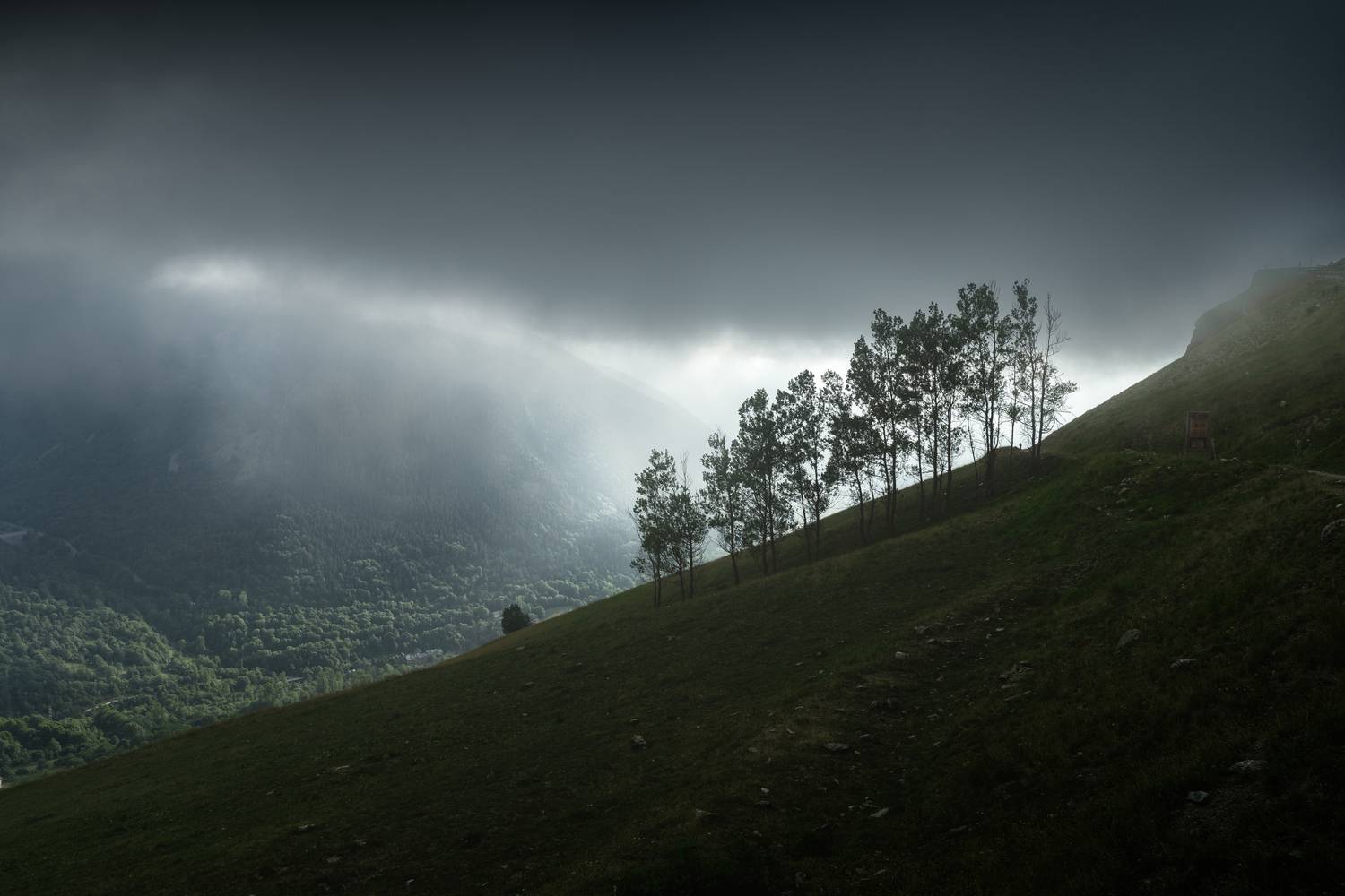 Фотография #13187017