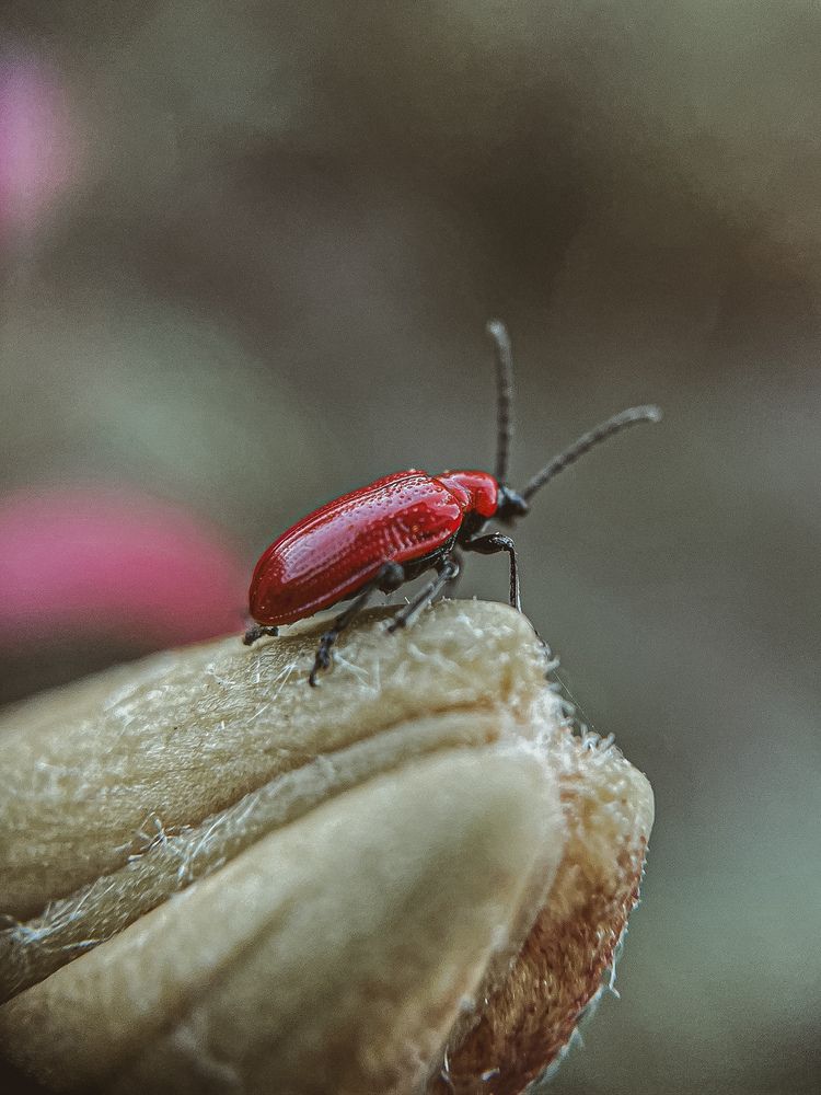 Photograph by Анна Пигулевская