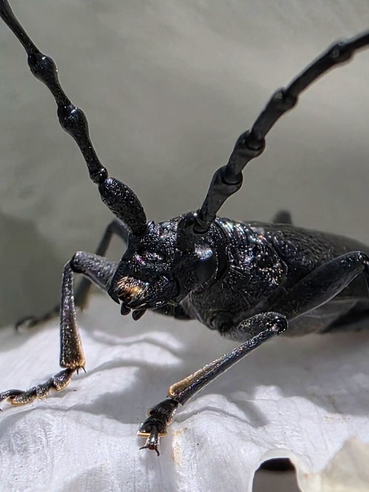 Photograph by Куделенко Оксана