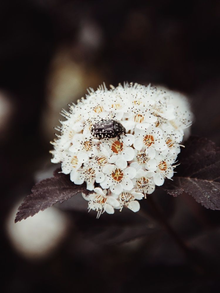 Photograph by Анна Любимова