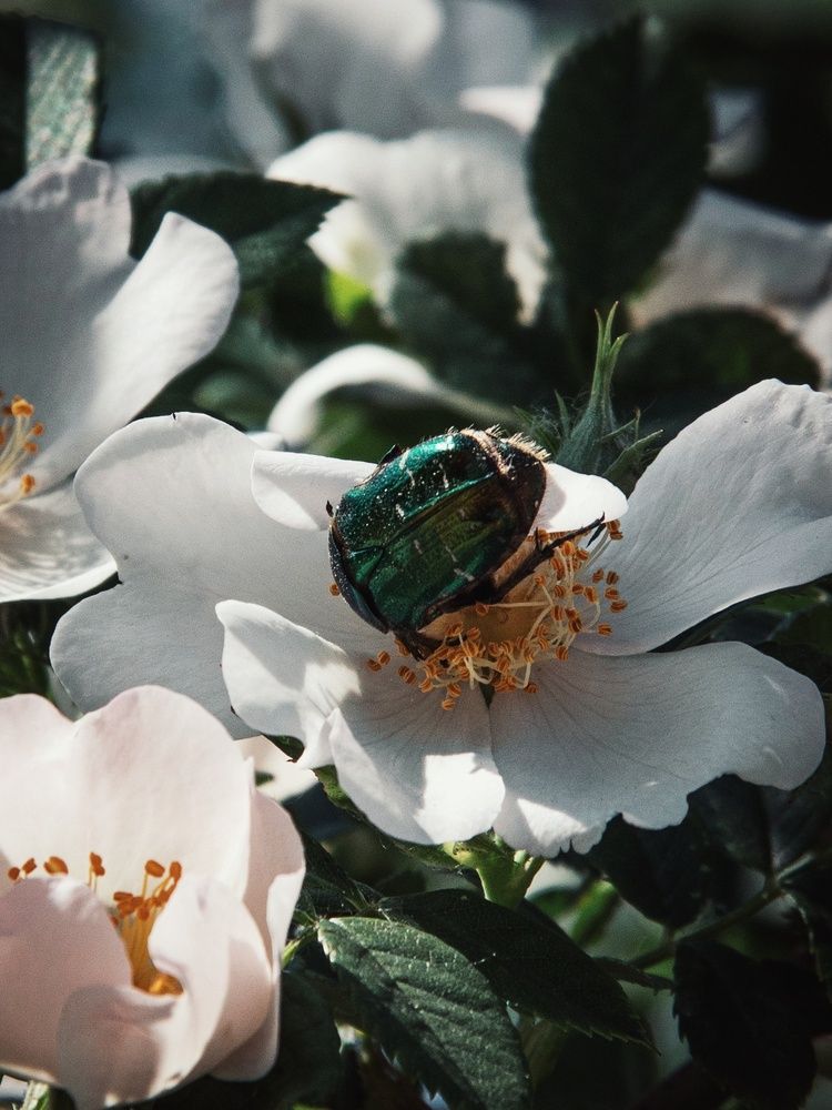 Photograph by Анна Любимова