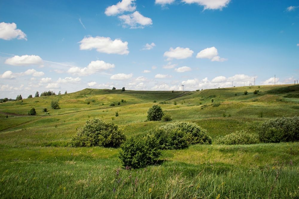 Фотография автора Анна Любимова